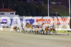 2025_PACEPIX_GP14112025_RACE8_MaddyLou_WIN_WEB-1