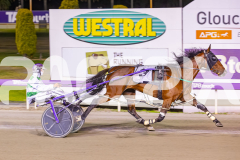 2025_PACEPIX_GP14112025_RACE8_MaddyLou_WIN_WEB-15