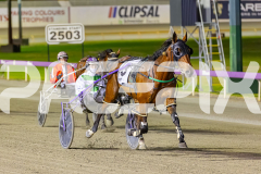 2025_PACEPIX_GP14112025_RACE8_MaddyLou_WIN_WEB-17