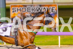 2025_PACEPIX_GP14112025_RACE8_MaddyLou_WIN_WEB-18