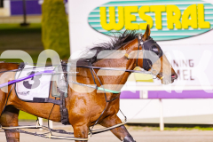 2025_PACEPIX_GP14112025_RACE8_MaddyLou_WIN_WEB-19
