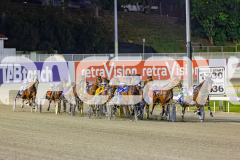 2025_PACEPIX_GP14112025_RACE8_MaddyLou_WIN_WEB-2