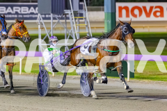 2025_PACEPIX_GP14112025_RACE8_MaddyLou_WIN_WEB-3