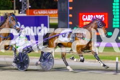 2025_PACEPIX_GP14112025_RACE8_MaddyLou_WIN_WEB-5