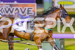 2025_PACEPIX_GP14112025_RACE8_MaddyLou_WIN_WEB-6
