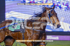 2026_Pacepix_GP18082026_Race8_MADEFORME_WIN_WEB-13
