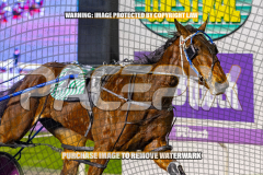 2026_Pacepix_GP18082026_Race8_MADEFORME_WIN_WEB-16