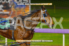 2026_Pacepix_GP18082026_Race8_MADEFORME_WIN_WEB-26