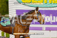 2026_Pacepix_GP18082026_Race8_MADEFORME_WIN_WEB-27