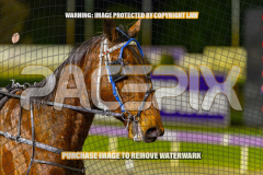 2026_Pacepix_GP18082026_Race8_MADEFORME_WIN_WEB-29
