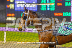 2026_Pacepix_GP18082026_Race8_MADEFORME_WIN_WEB-31