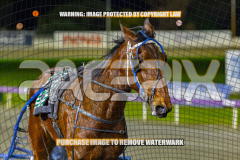 2026_Pacepix_GP18082026_Race8_MADEFORME_WIN_WEB-34