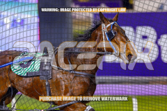 2026_Pacepix_GP18082026_Race8_MADEFORME_WIN_WEB-6