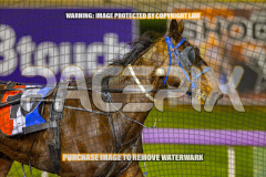 2026_Pacepix_GP14082026_Race8_MagicCaptain_WIN_WEB-10