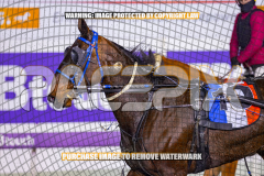 2026_Pacepix_GP14082026_Race8_MagicCaptain_WIN_WEB-13