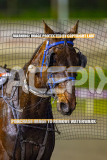 2026_Pacepix_GP14082026_Race8_MagicCaptain_WIN_WEB-16