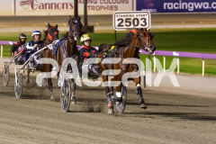 Majestic-Ga-Ga_24-03-2026_WIN_Gloucester-Park_8__02