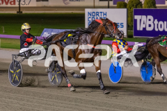 Majestic-Ga-Ga_24-03-2026_WIN_Gloucester-Park_8__03