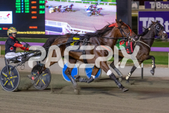 Majestic-Ga-Ga_24-03-2026_WIN_Gloucester-Park_8__04