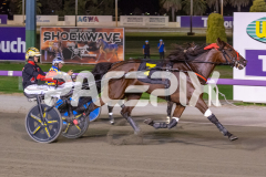 Majestic-Ga-Ga_24-03-2026_WIN_Gloucester-Park_8__06