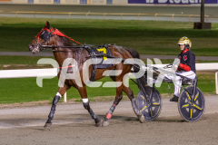 Majestic-Ga-Ga_24-03-2026_WIN_Gloucester-Park_8__09