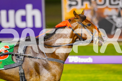 2025_PACEPIX_GP11112025_RACE8_MagesticGaGa_WIN_WEB-12