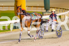 2025_PACEPIX_GP11112025_RACE8_MagesticGaGa_WIN_WEB-14