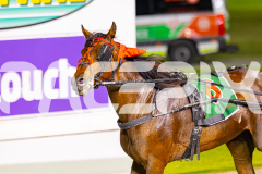 2025_PACEPIX_GP11112025_RACE8_MagesticGaGa_WIN_WEB-15