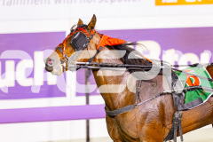 2025_PACEPIX_GP11112025_RACE8_MagesticGaGa_WIN_WEB-16