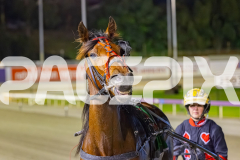 2025_PACEPIX_GP11112025_RACE8_MagesticGaGa_WIN_WEB-17