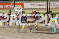 2025_PACEPIX_GP11112025_RACE8_MagesticGaGa_WIN_WEB-3