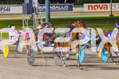 2025_PACEPIX_GP11112025_RACE8_MagesticGaGa_WIN_WEB-4