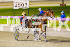 2025_PACEPIX_GP11112025_RACE8_MagesticGaGa_WIN_WEB-9