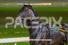 2026_PACEPIX_GP16102026_Race8_MajorExpress_WIN_WEB-11