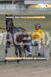 2026_PACEPIX_GP16102026_Race8_MajorExpress_WIN_WEB-9