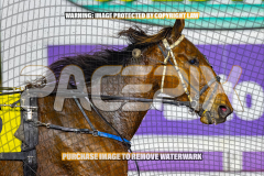 2026_Pacepix_GP21082026_Race8_ManhattanMoon_WIN_WEB-10
