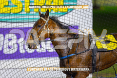 2026_Pacepix_GP21082026_Race8_ManhattanMoon_WIN_WEB-13