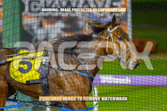 2026_Pacepix_GP21082026_Race8_ManhattanMoon_WIN_WEB-9