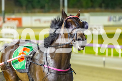 2025_PACEPIX_GP23012026_Race8_MaximunRock_WIN_WEB-14
