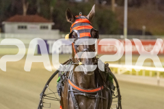2026_GP13022026_RACE8_MisterPiccolo_WIN_WEB-14