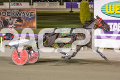 2026_GP13022026_RACE8_MisterPiccolo_WIN_WEB-8