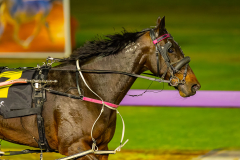 2026_PACEPIX_GP24042026_Race8_MySilverSpoon_WIN_WEB-14