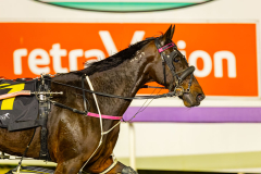 2026_PACEPIX_GP24042026_Race8_MySilverSpoon_WIN_WEB-15