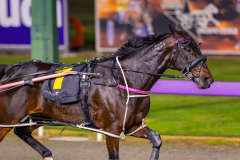 2026_PACEPIX_GP24042026_Race8_MySilverSpoon_WIN_WEB-6