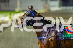 2026_PACEPIX_GP10072026_Race8_WIN_WEB-11