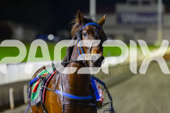 2026_PACEPIX_GP10072026_Race8_WIN_WEB-13