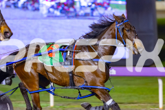 2026_PACEPIX_GP10072026_Race8_WIN_WEB-3