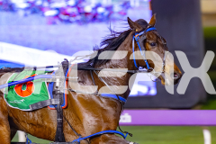 2026_PACEPIX_GP10072026_Race8_WIN_WEB-8