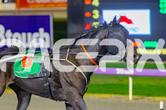 2026_PACEPIX_GP21042026_RACE8_MysteryFred_WIN_WEB-11