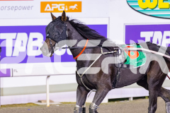 2026_PACEPIX_GP21042026_RACE8_MysteryFred_WIN_WEB-14